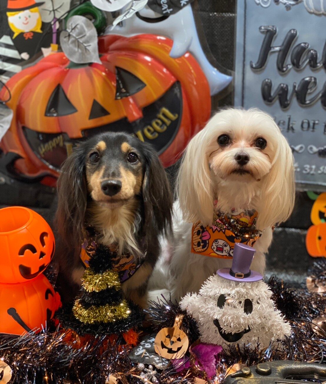 未来ちゃん・今くん・明日くん